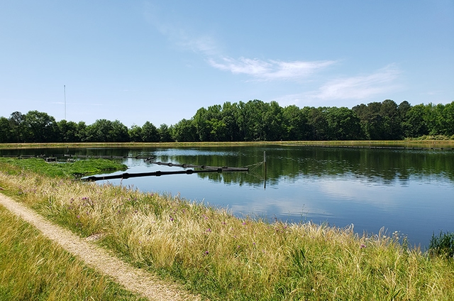 Wastewater Treatment Lagoon Upgrades - projects/wastewater-treatment-lagoon-upgrades