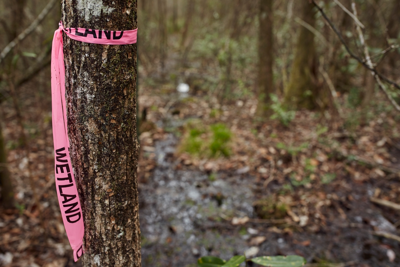 Environmental Consulting