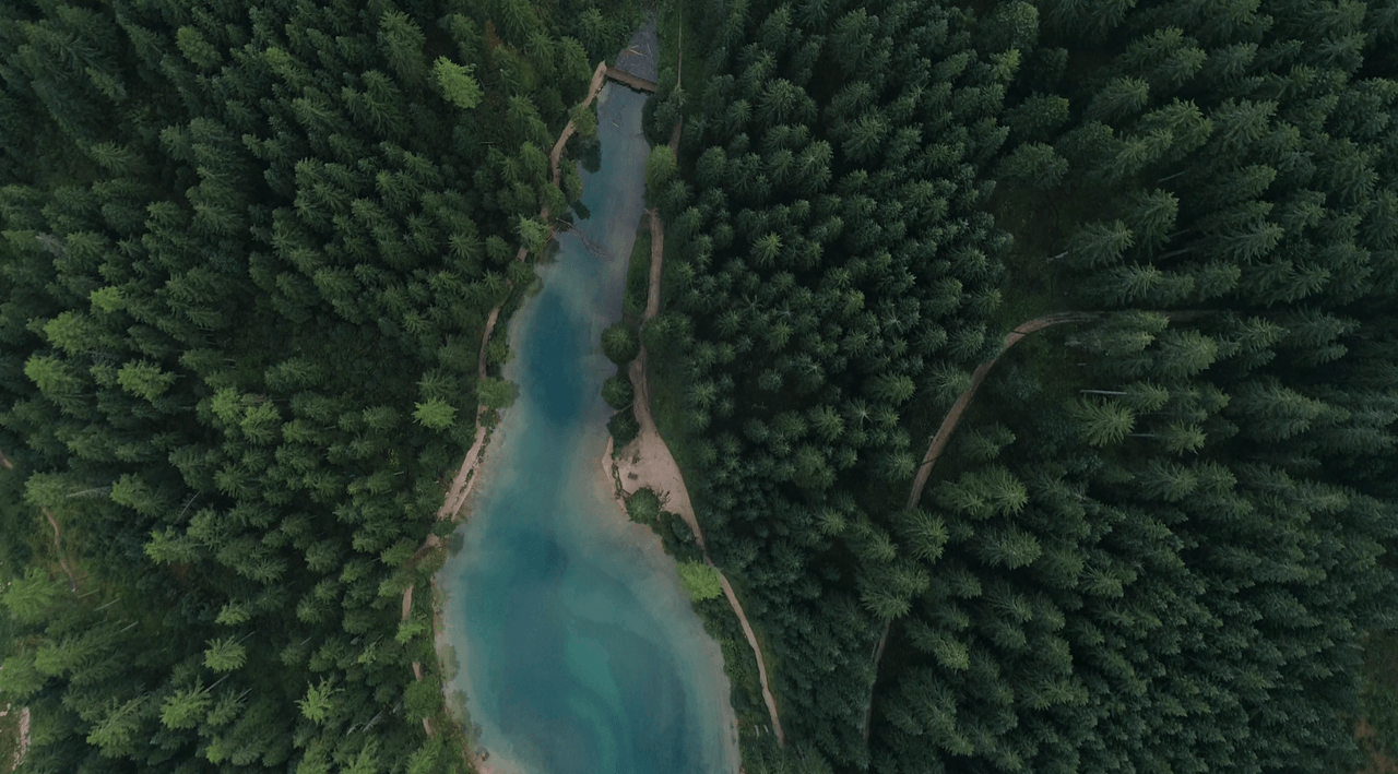 Build Your Future Here