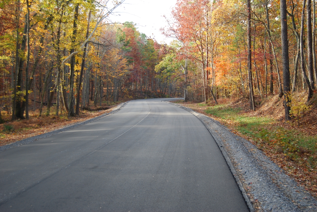 Experience our clients trust